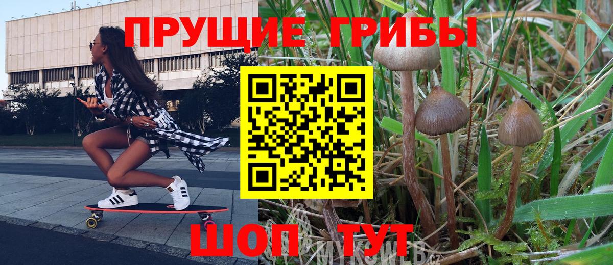 Клинцы  Псилоцибиновые грибы прущие грибы  Вход с VPN 