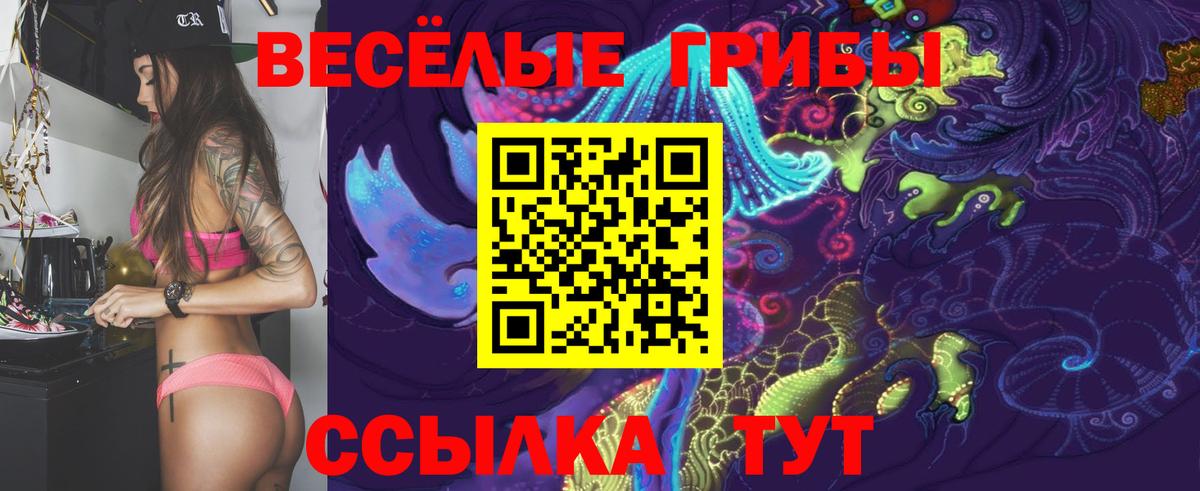 Галлюциногенные грибы Psilocybine cubensis Клинцы